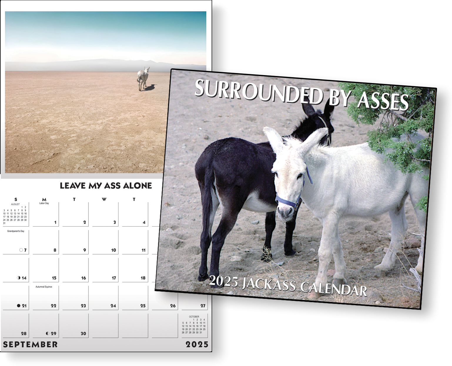 Surrounded By Asses - 

    2025

 Jackass Calendar